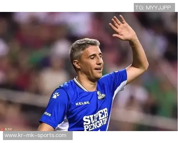 足球边裁如何通过旗语准确判定进球有效性与否的技巧解析